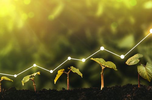 Green | plants | leaves | sustainable